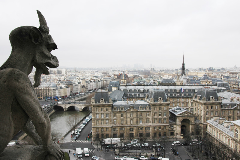 Notre Dame Gargoyle